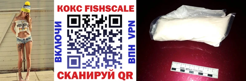МЕГА как войти  где купить наркоту  Дмитров  Cocaine FishScale 