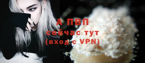 ГАЛЛЮЦИНОГЕННЫЕ ГРИБЫ Вязьма