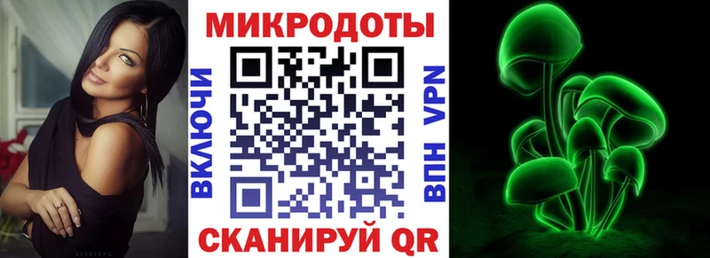 Псилоцибиновые грибы GOLDEN TEACHER  где купить наркотик  ссылка на мегу ссылка  Дмитров 